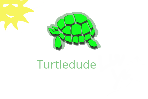 Turtle dude